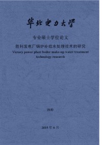 胜利发电厂锅炉补给水处理技术的研究