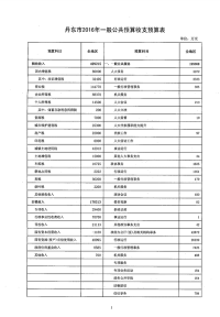 丹东市2016年一般公共预算收支预算表