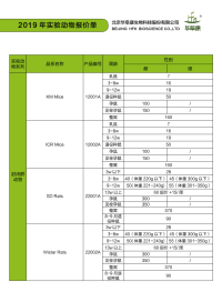 2019年实验动物报价单