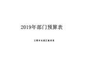 2019年部门预算表