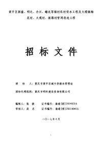 梁平区新盛、明达、合兴、蟠龙等镇村农村饮水工程及大观镇