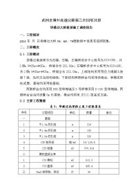 牮楼边大桥桩基施工调查报告