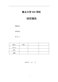 重点大学项目报告模板