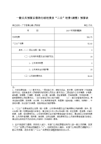 一般公共预算安排的行政经费及三公经费调整预算表