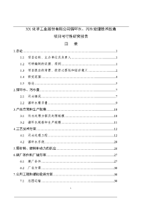 XX化学工业股份有限公司循环水、污水处理技术改造项目可行性研究报告