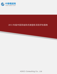 2013年版中国系统形式微型机项目报告