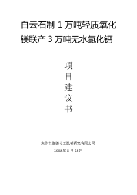 白云石制1万吨轻质氧化镁联项目报告