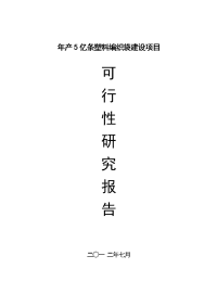 (最新)年产5亿条塑料编织袋项目可行性研究报告