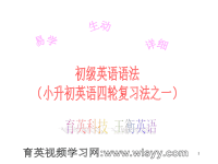 初级英语语法第11讲--冠词量词名词王衡英语小升初英语四轮复习法