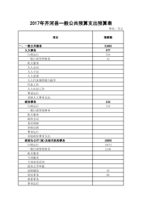 齐河县一般公共预算支出预算表