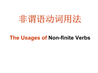 2010高考英语语法《非谓语动词》