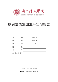 株洲冶炼集团实习报告总结 ~污水处理工艺、锌厂处理