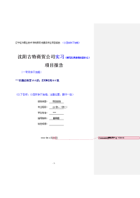 09级项目报告具体要求