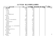 市级一般公共预算支出预算表