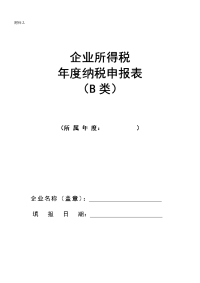企业所得税年度纳税申报表(B类)