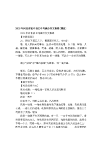 [评析]2009年河北省初中语文中考满分作文集锦(精品)