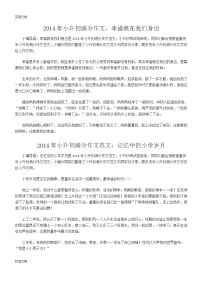 206小升初满分作文