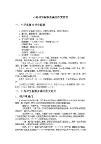 小学作文标准及小考满分作文范文