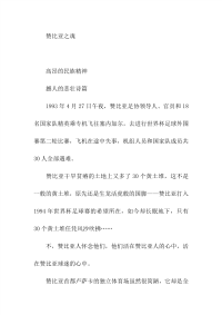 高中满分作文一赞比亚之魂