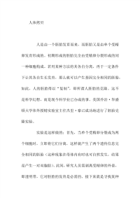 高中满分作文一人体拷贝