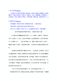 2013年湖北高考满分作文