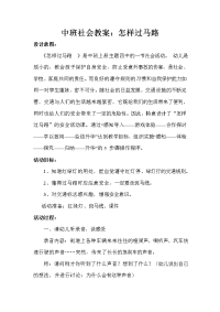 中班社会教案：怎样过马路