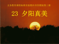 苏教版二年级上册语文《夕阳真美》公开课课件PPT