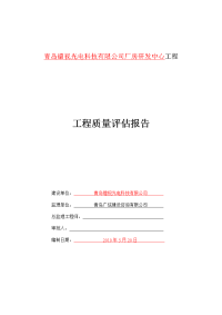 镭视光电,工程质量评估报告(未改完)