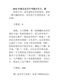 满分作文：静