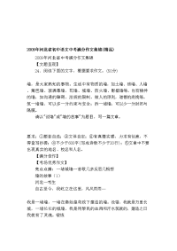 [中学]2009年河北省初中语文中考满分作文集锦(精品)
