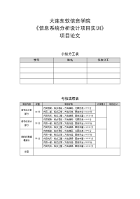 项目报告模板