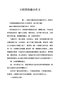 王昭君的满分作文