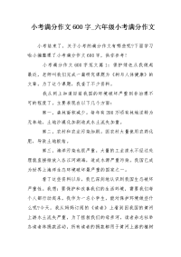 小考满分作文600字_六年级小考满分作文