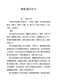 愿景,满分作文