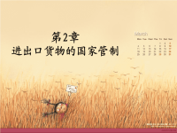 《国家进出口管制》PPT课件