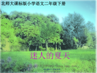 北师大版小学二年级下册语文《迷人的夏天》课件PPT