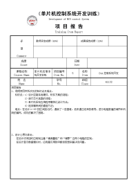 DA控制系统开发项目报告