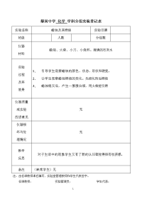 鄢岗中学九年级化学上册分组实验登记表