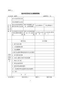 研发支出项目预算表