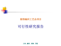 植物编织工艺品项目可行性研究报告