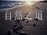 人教版四年级语文下册《自然之道》课件PPT(1)_(2)