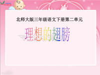 北师大版小学三年级下册语文《理想的翅膀》课件PPT