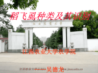 圣诞专辑毛线编织圣诞帽子手工制作圣诞礼物