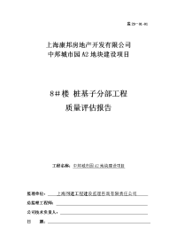 8号楼桩基子分部质量评估报告