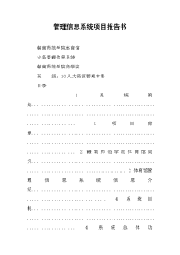 2019管理信息系统项目报告书