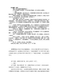2013武汉中考满分作文看见