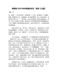 陕西省2019年中考满分作文：阳光【六篇】