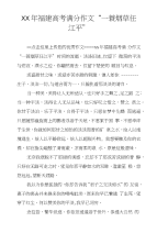 XX年福建高考满分作文“一蓑烟草任江平”