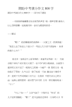 期盼中考满分作文800字