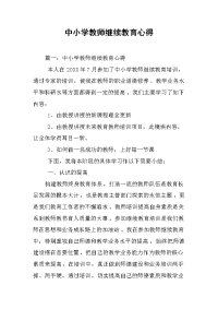 2019中小学教师继续教育心得